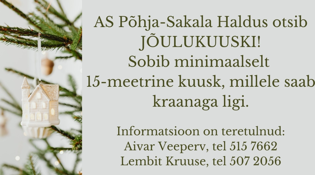 Otsime jõulukuuski!